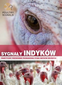 SYGNAŁY INDYKÓW