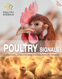 Poultry Signals